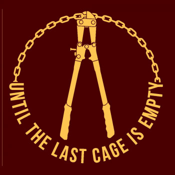 Until The Last Cage męska logo na piersi
