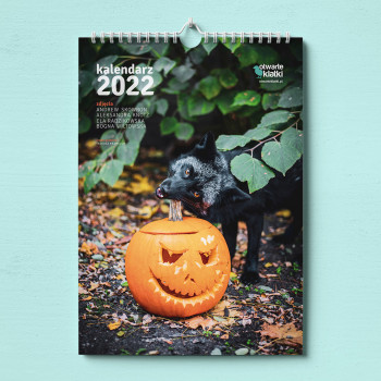 Kalendarz 2022 - Lisy