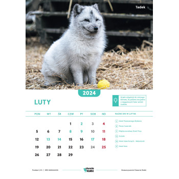 karta ściennego kalendarza ze zdjęciami zwierząt -  miesiąc luty