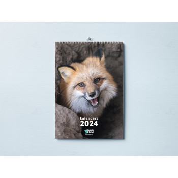 2024 kalendarz ścienny ze zdjęciem lisa na okładce