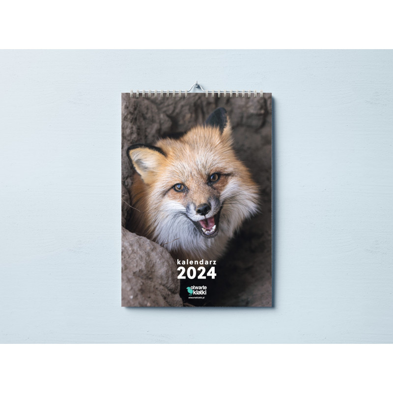 2024 kalendarz ścienny ze zdjęciem lisa na okładce